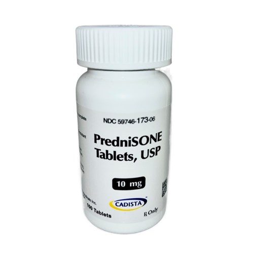 PREDNISONE TABLET 10MG BOTTLE/100