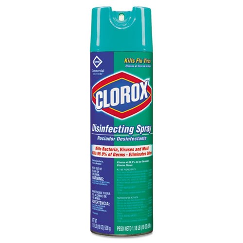 CLOROX DISINFECT SPRAY FRESH SCNT 19OZ