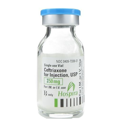 CEFTRIAXONE SODIUM SDV 250MG BX/10