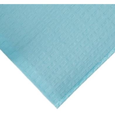 TOWELS 2-PLY POLYBACK 13" x 18" BLUE