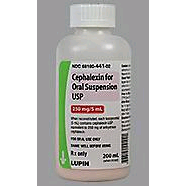 CEPHALEXIN SUSPENSION 250MG/5ML 100ML