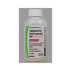 CEPHALEXIN SUSPENSION 250MG/5ML 100ML